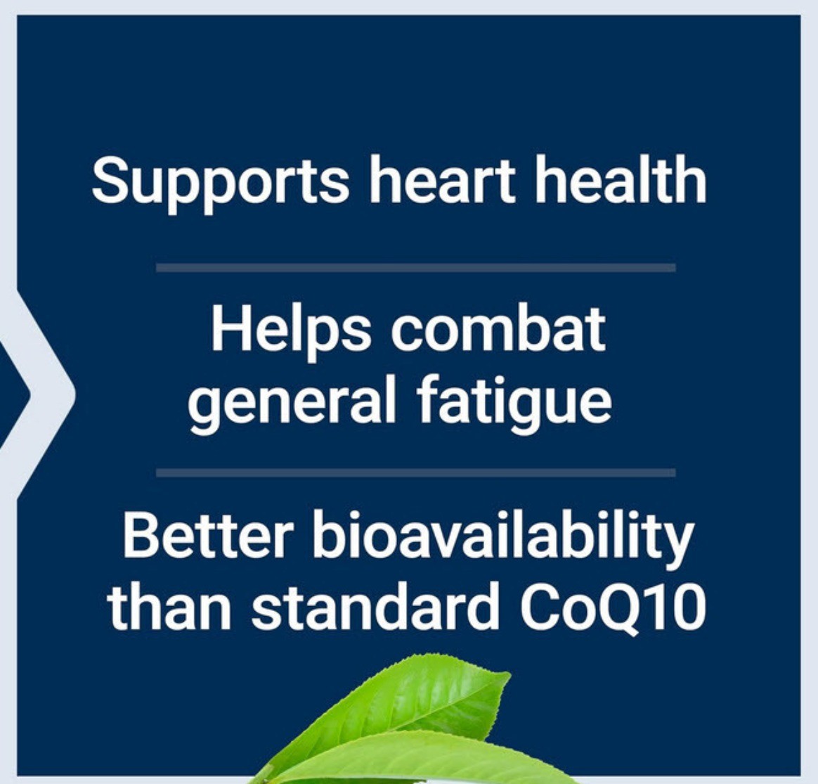 SUPER UBIQUINOL LIFE EXTENSION CoQ10 HEART CHOLESTEROL HEALTH 100mg 60 softgels