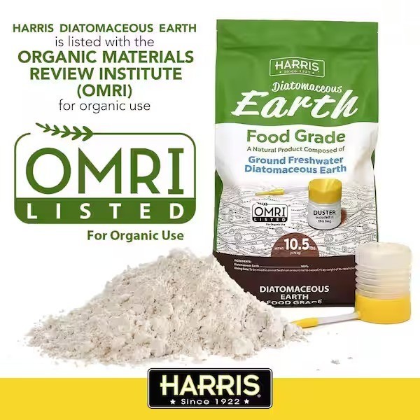Harris 10.5 lbs. Diatomaceous Earth Food Grade 100% with 21 lbs. Powder 2-Pack
