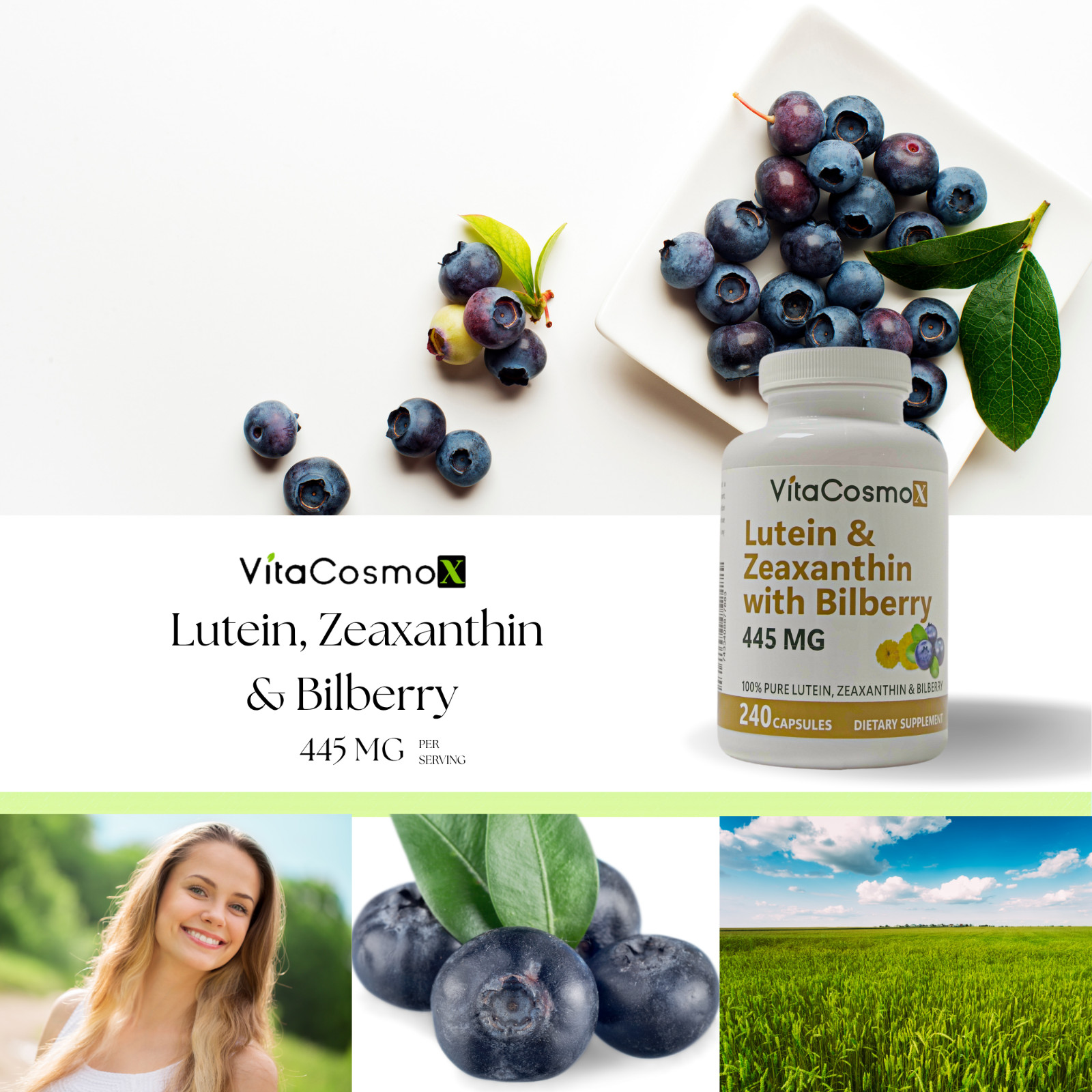 Lutein 40mg with Zeaxanthin Bilberry 400mg Eye Health Support Supplement, 240Cap