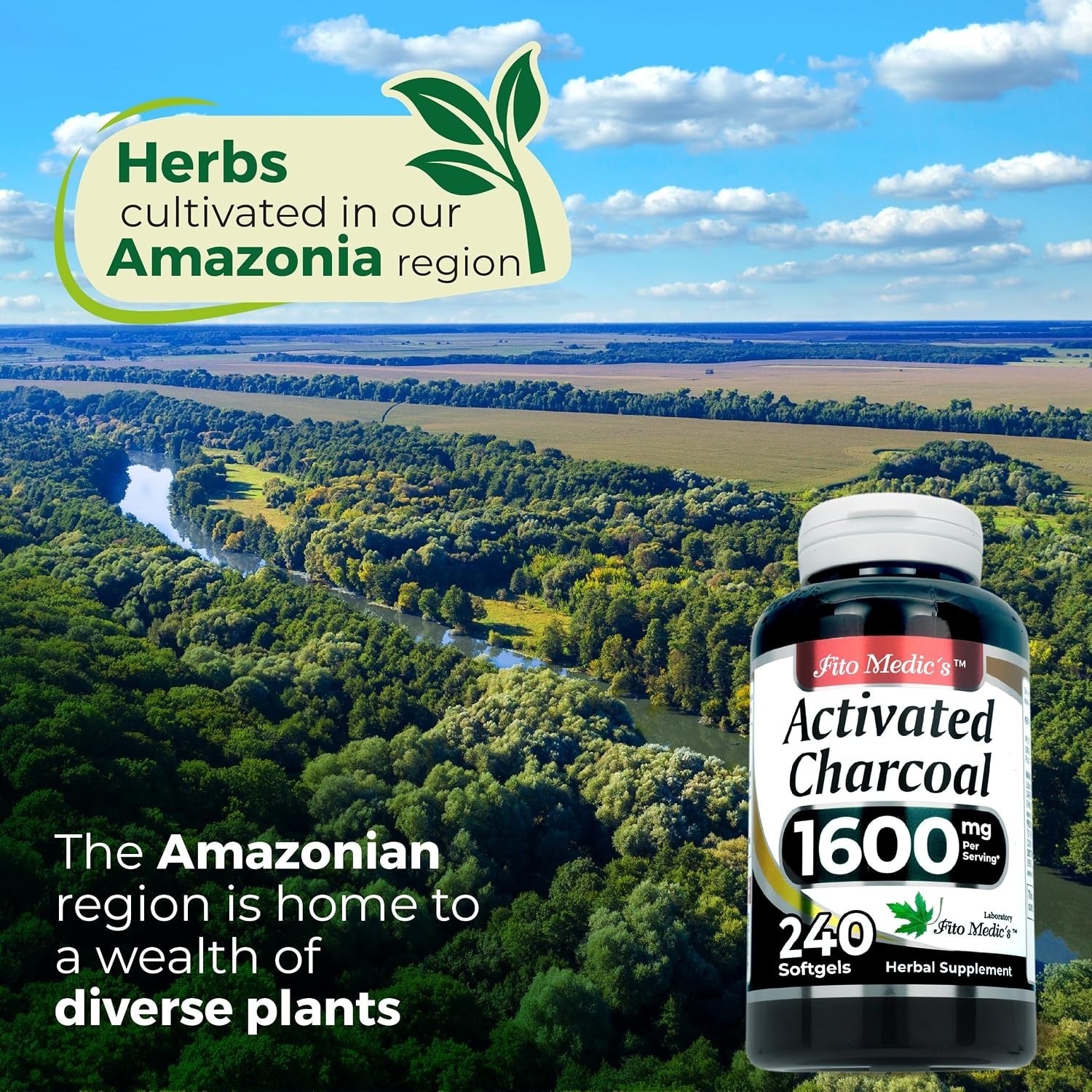Activated Charcoal 1600mg 240Caps From Coconut Shells NO PreservativGluten Free