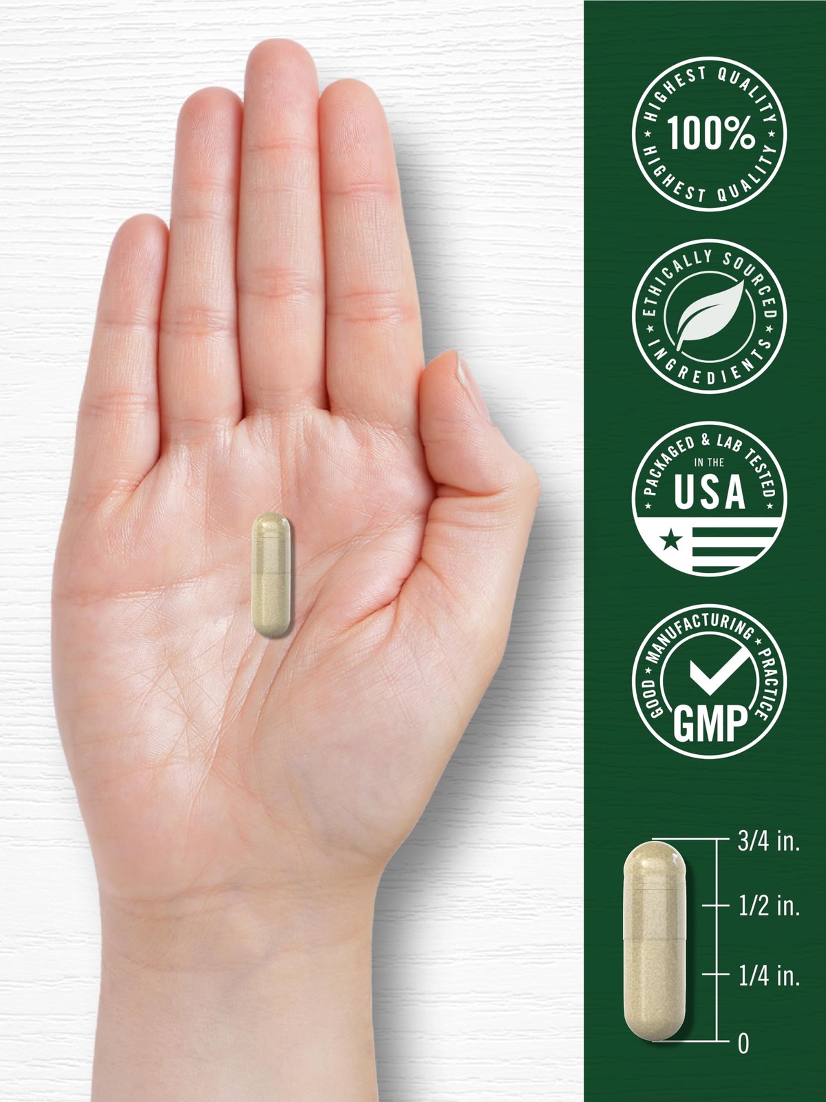 Ginseng Extract Supplement | 120 Capsules | 120 Count (Pack of 1)