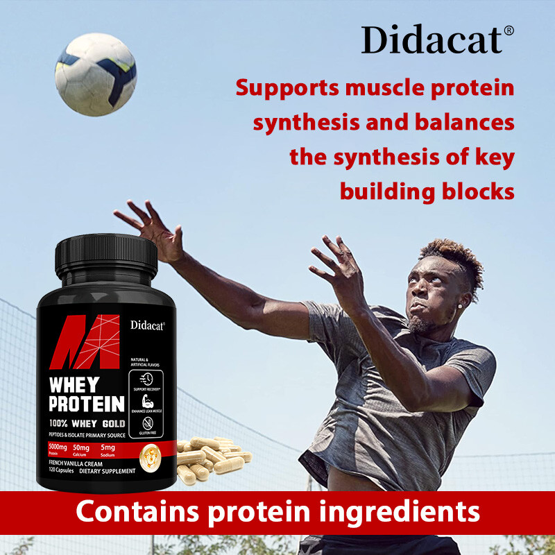 Whey Protein Capsules – Maintain Muscle Strength-Perfect Body Shape-120 Capsules