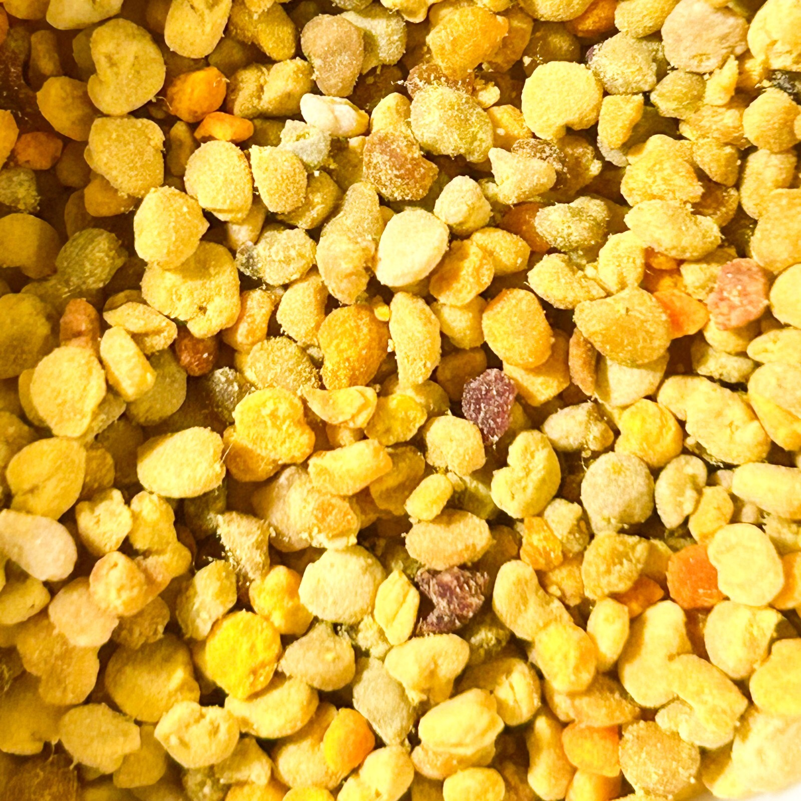 Bee Pollen – Organic Energy Superfood in Granules 4.2 oz / 120 g. – 100% Natural