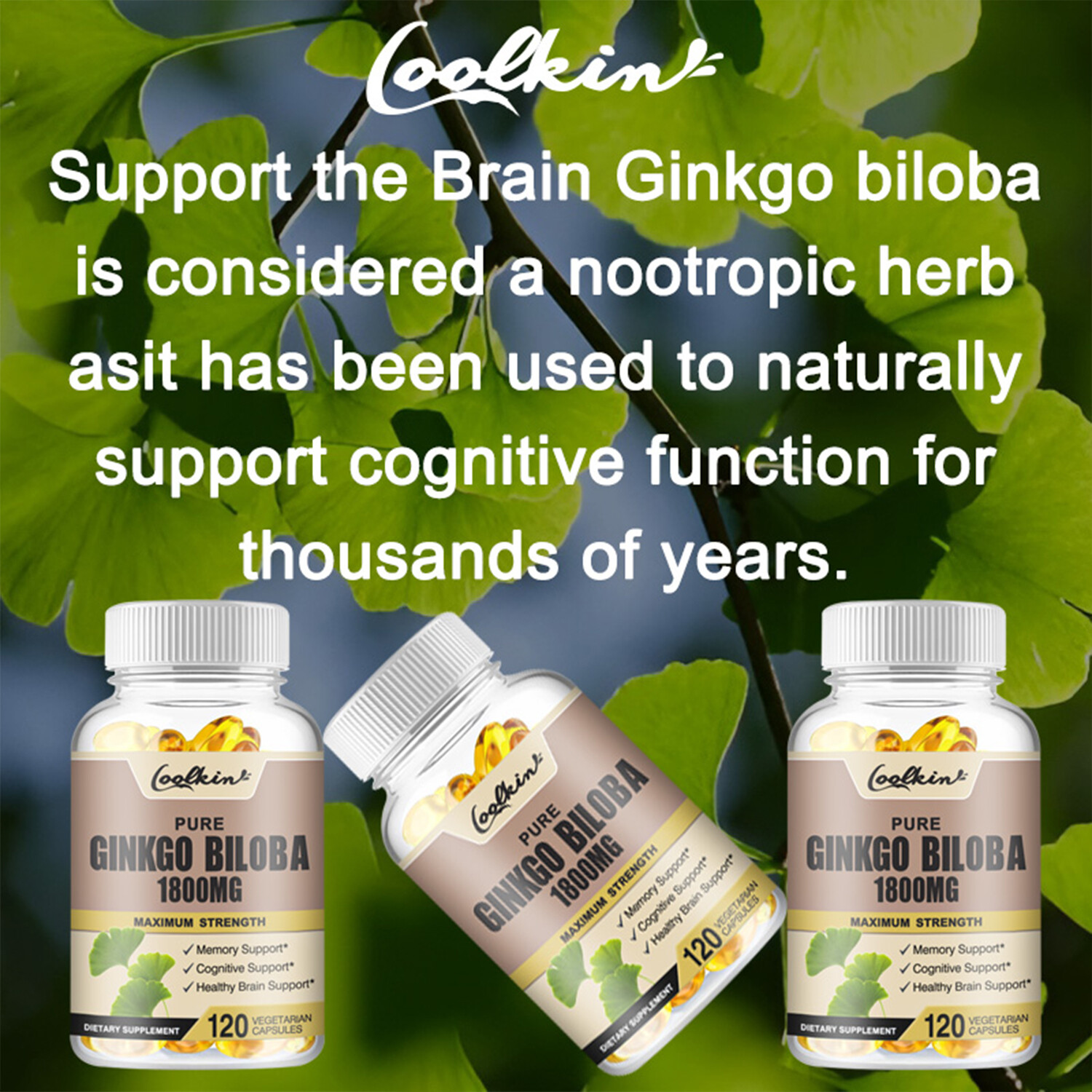 Ginkgo Biloba 1800mg – Cognitive & Memory Support, Support Memory & Brain Health
