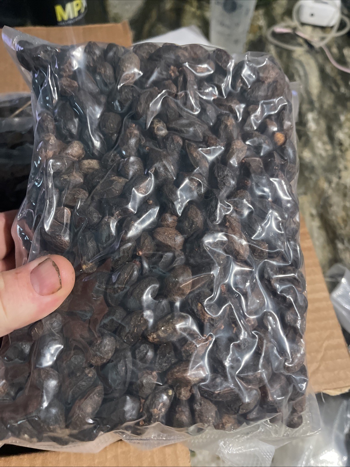 10 Lbs Dried Saw Palmetto Berries