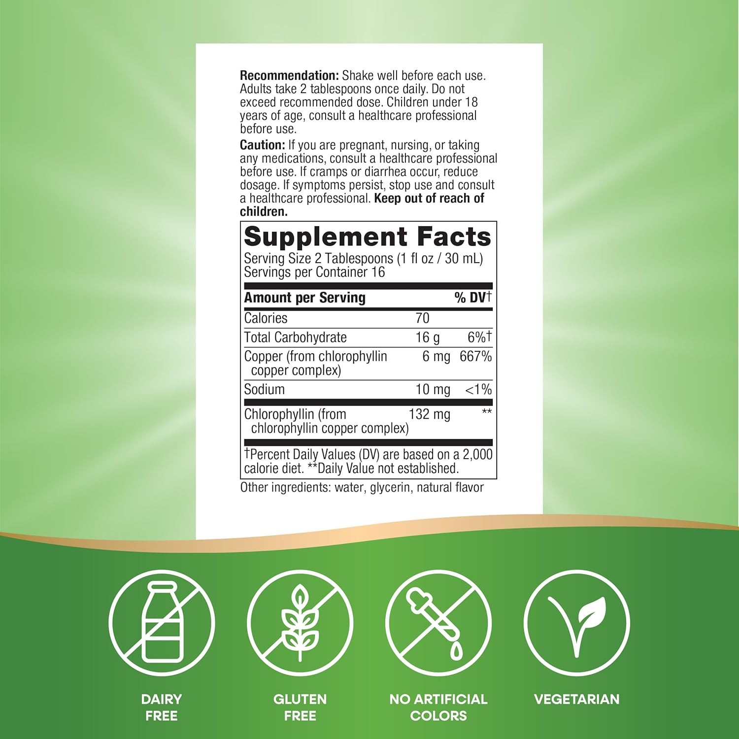 Nature’s Way Chlorofresh, Liquid Chlorophyll, Supports Healthy Skin & Body, 16oz