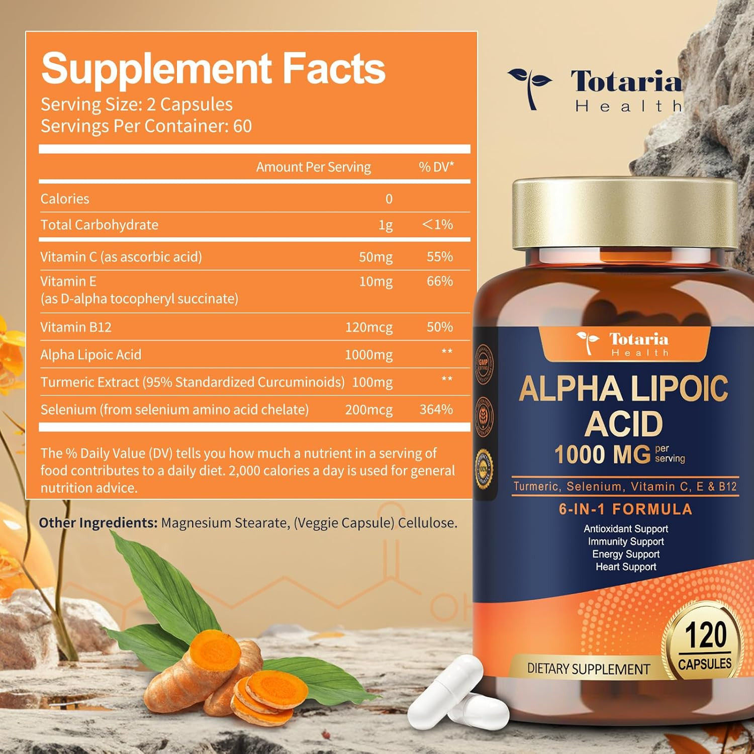 Alpha Lipoic Acid 1000Mg – ALA Supplement Antioxidant for Neuropathy Support Ner