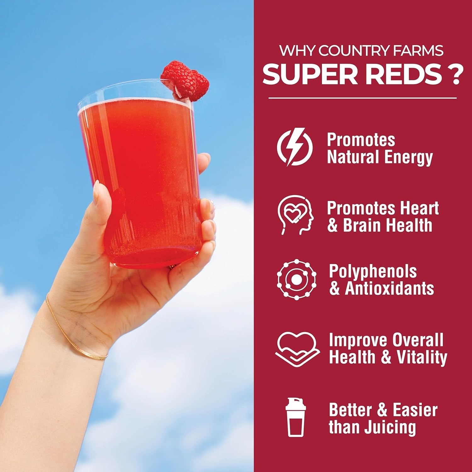 Super Reds, Energizing Polyphenol Superfood, 48 Super Fruits and Berries, Pow…