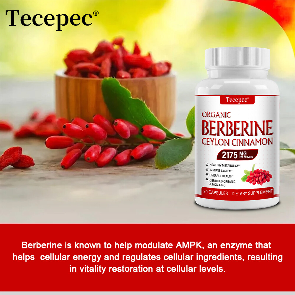 Premium Berberine with Ceylon Cinnamon 1800mg – Healthy Cholesterol, Non-GMO