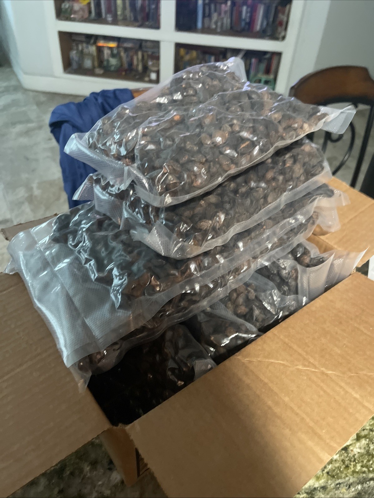 10 Lbs Dried Saw Palmetto Berries