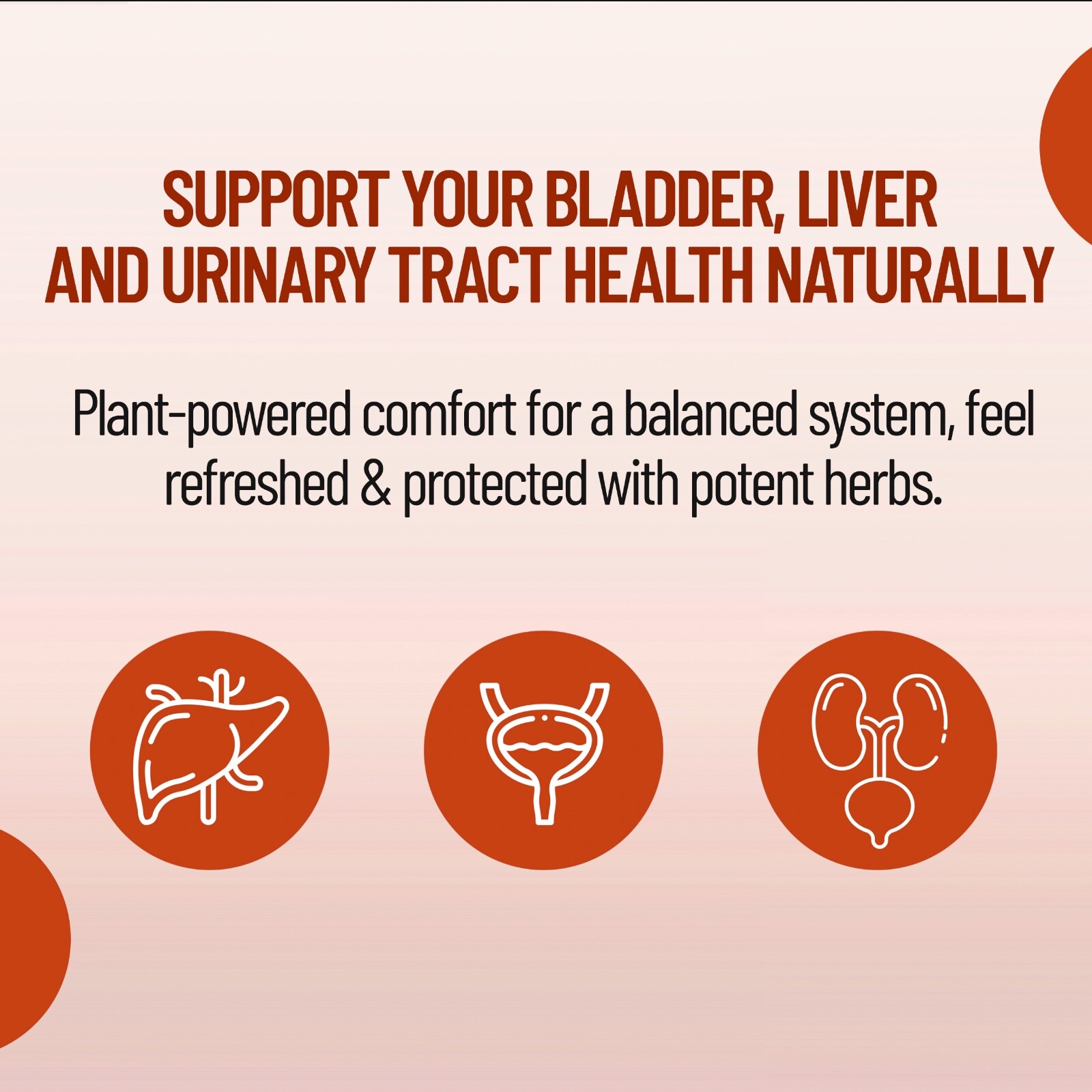 Wellgardens D-Mannose with Cranberry – Urinary Tract, Liver and Bladder Health