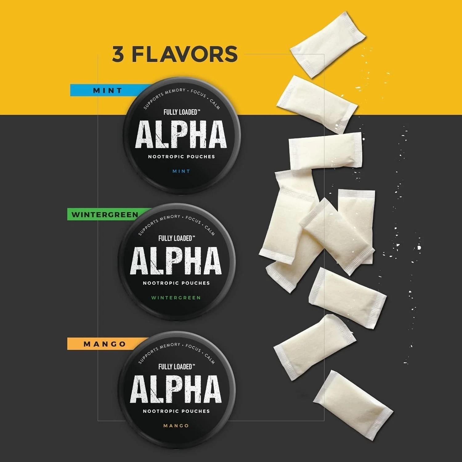 Fully Loaded Alpha Nootropic Pouches – 5 Cans of Mint Flavor, 75 Pouches Total