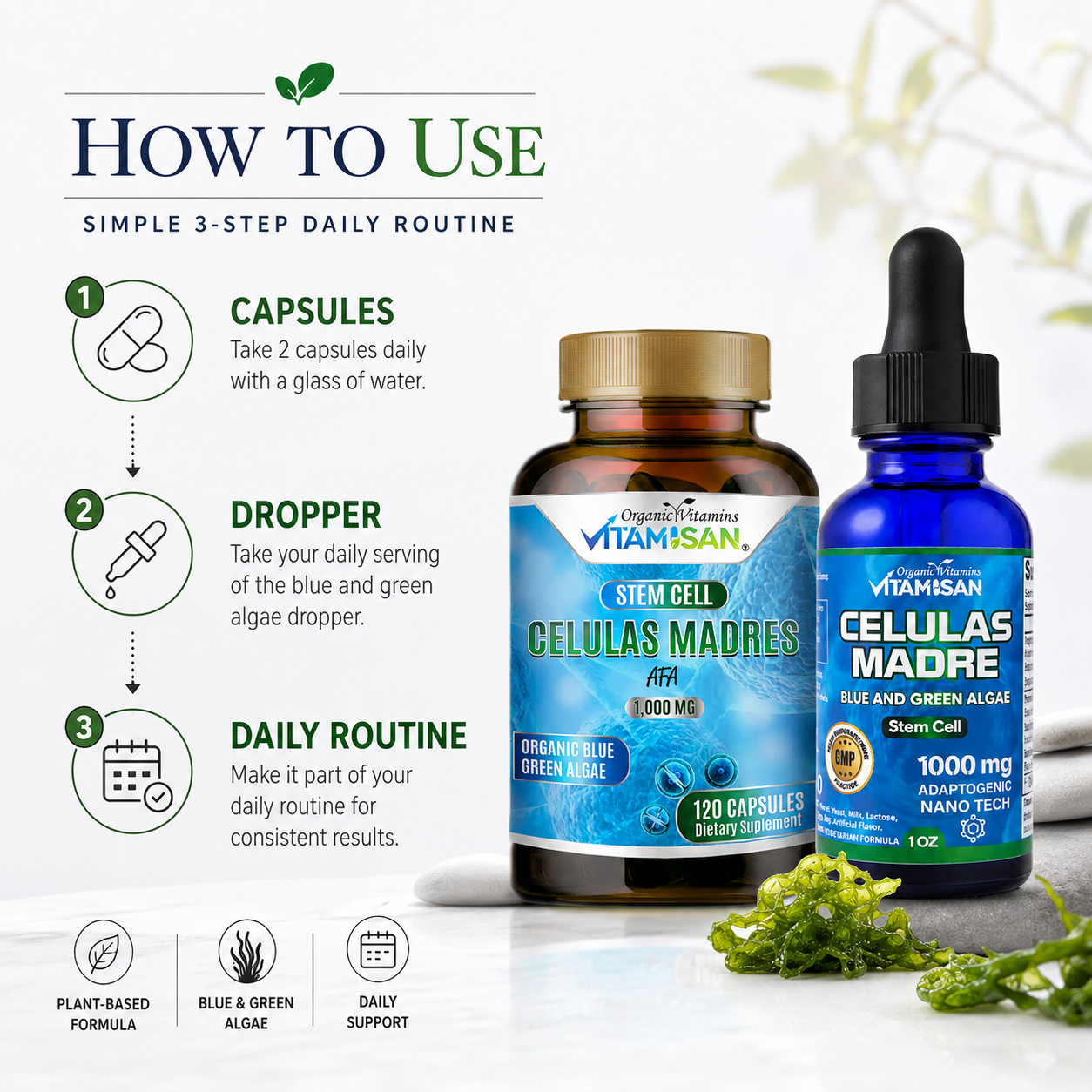 Celulas Madres Stem Cell 2 Pack Blue Green Algae AFA Spirulina Drops Caps Inmune