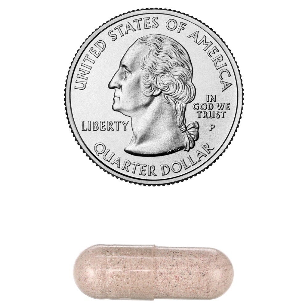 Wholesome Wellness Women’s Raw Digestive Enzymes Probiotic 100 Billion CFU Caps