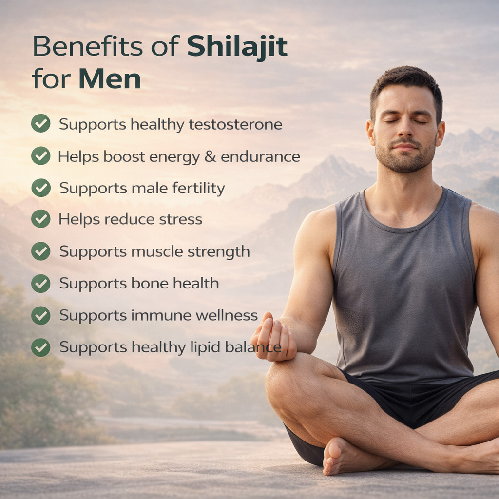 (Pack Of 2) Shilajit Gummies Pure Himalayan Shilajit for Men Lab Tested 60Gummy