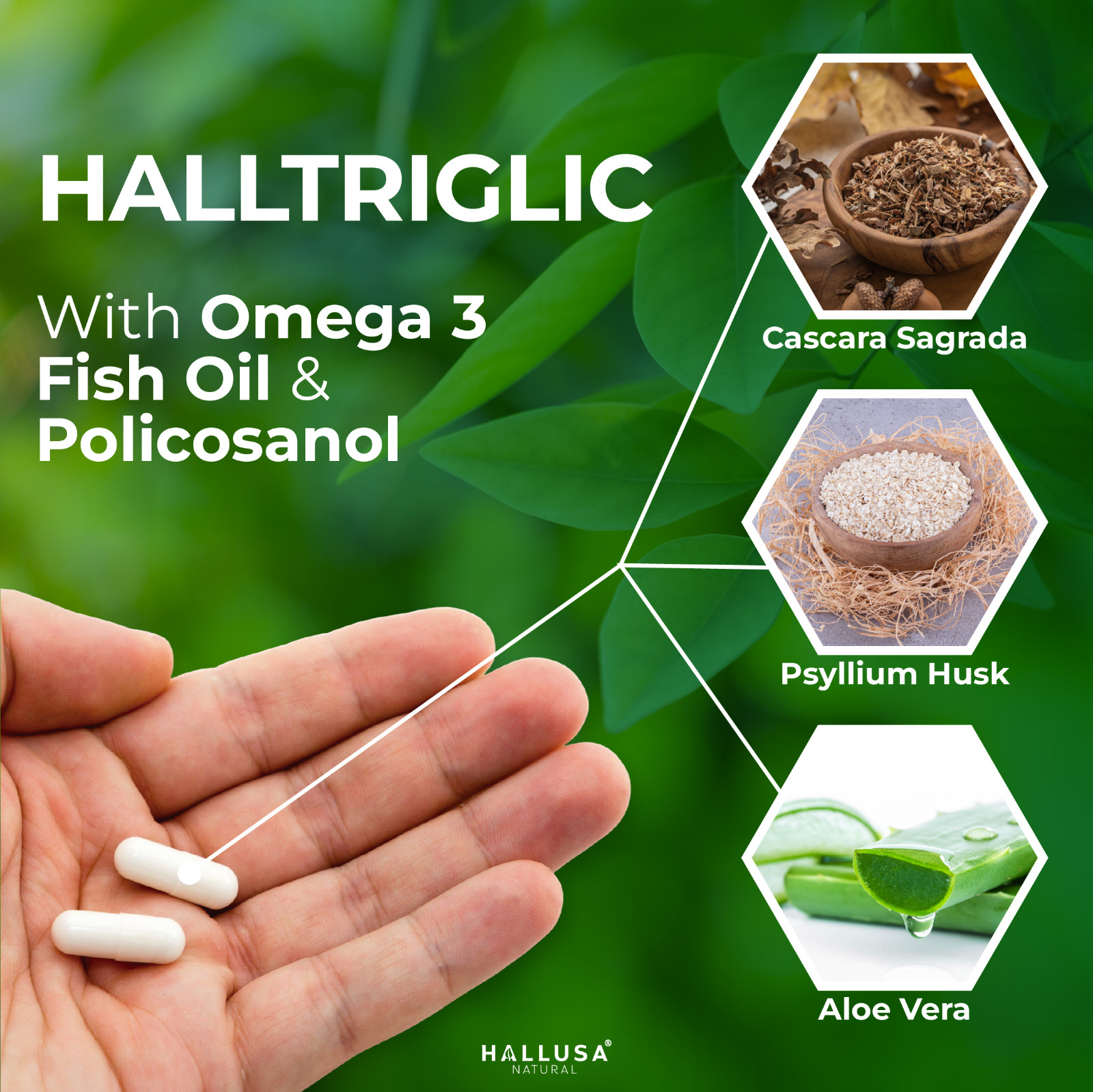 HALLTRIGLIC – Cholesterol & Triglyceride Levels – Cellular Function – 60 caps