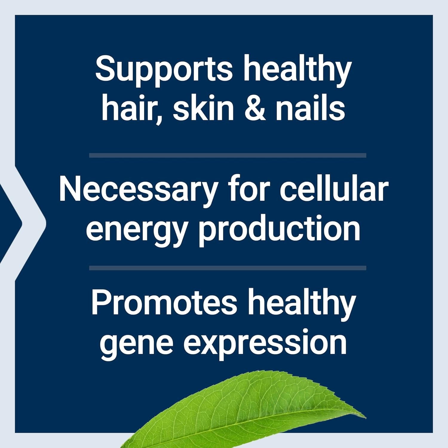 Life Extension Biotin 600 mcg Vitamin B7 Support Supplement for Beautiful…