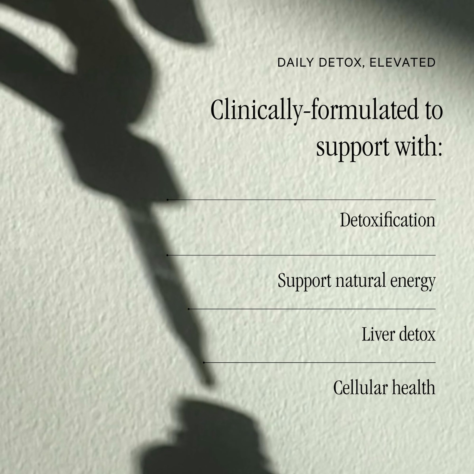Liquid Chlorophyll Drops – Daily Detox, 3X Strength, Sugar-Free, Lemon & Mint Fl