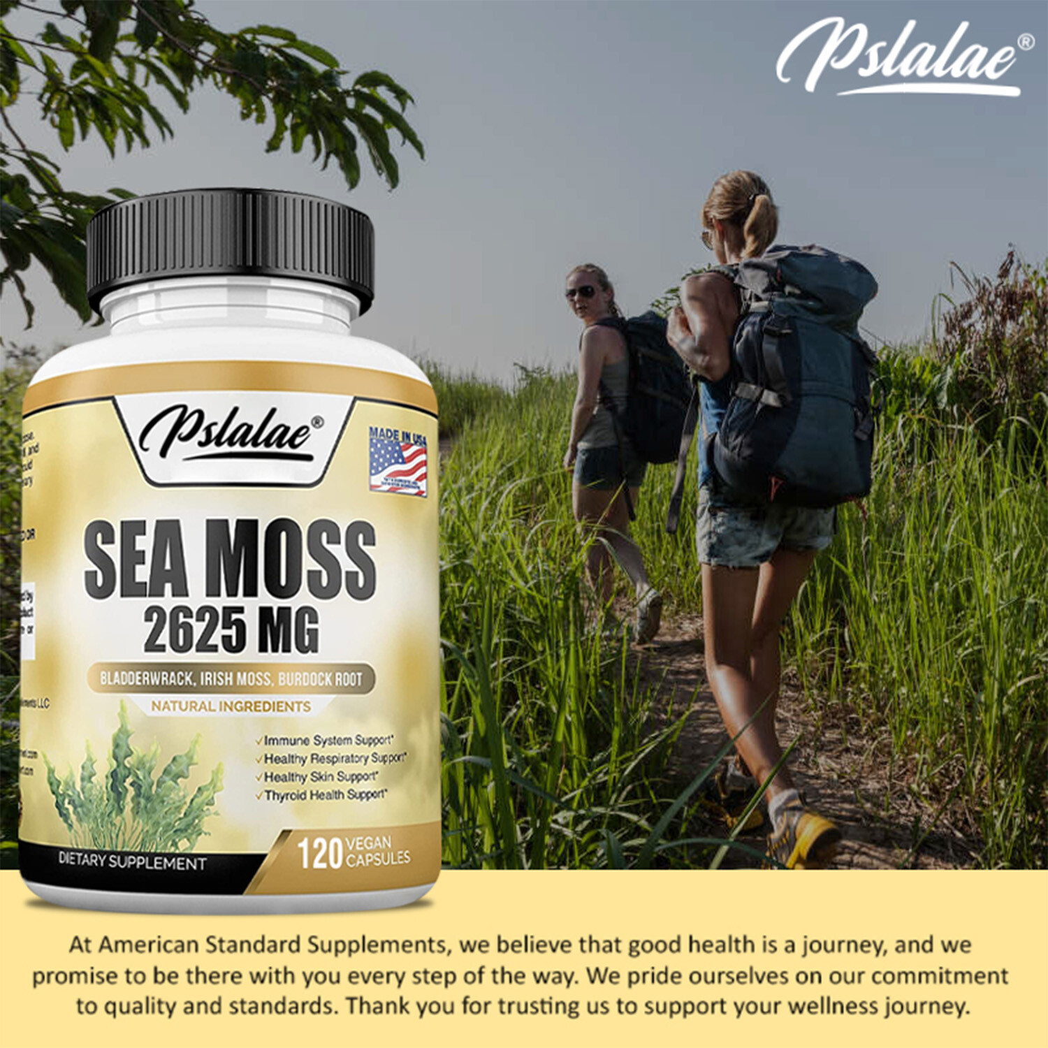 Sea Moss Capsules – Irish Moss, Bladderwrack, Burdock, Digestion & Immune Health