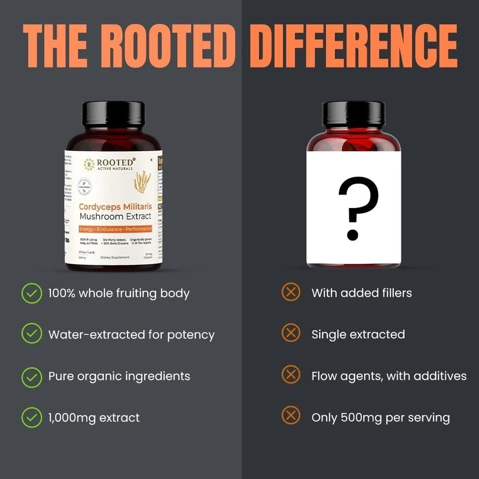 Cordyceps Mushroom – Performance Mushroom Supplement for Testosterone booster A2