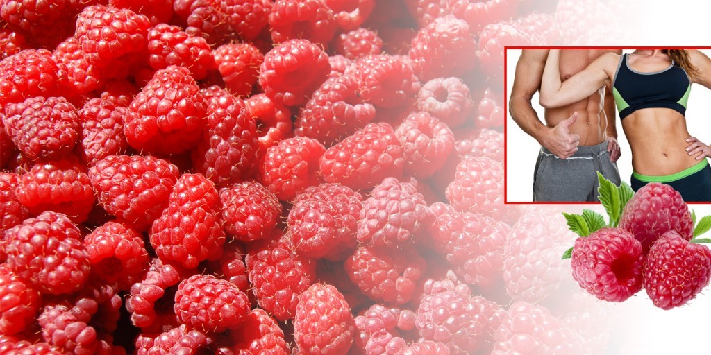 Weight loss protein powder – RASPBERRY KETONES – CLA COMBO – cla health
