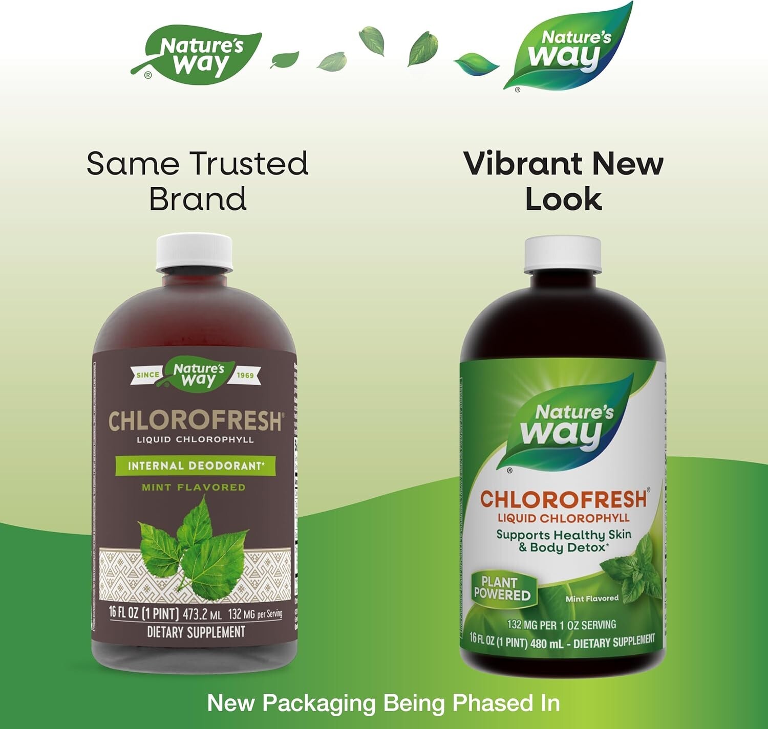 Nature’s Way Chlorofresh, Liquid Chlorophyll, Healthy Skin & Body Detox 16 Fl Oz