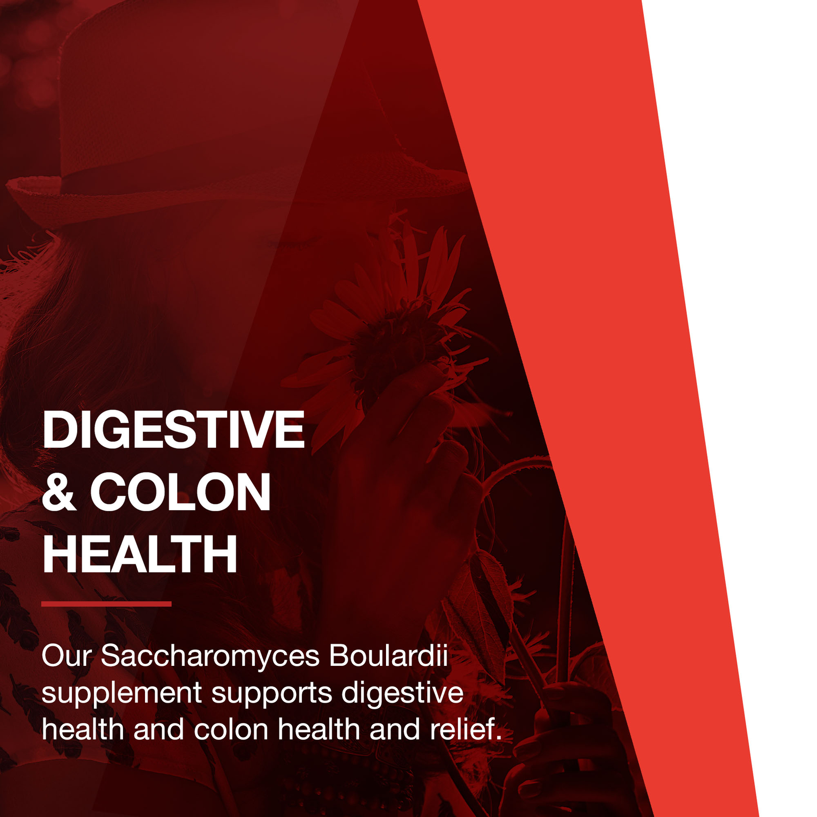 Protocol Saccharomyces Boulardii Probiotics – Immune and Gut Health 60 Veg Caps
