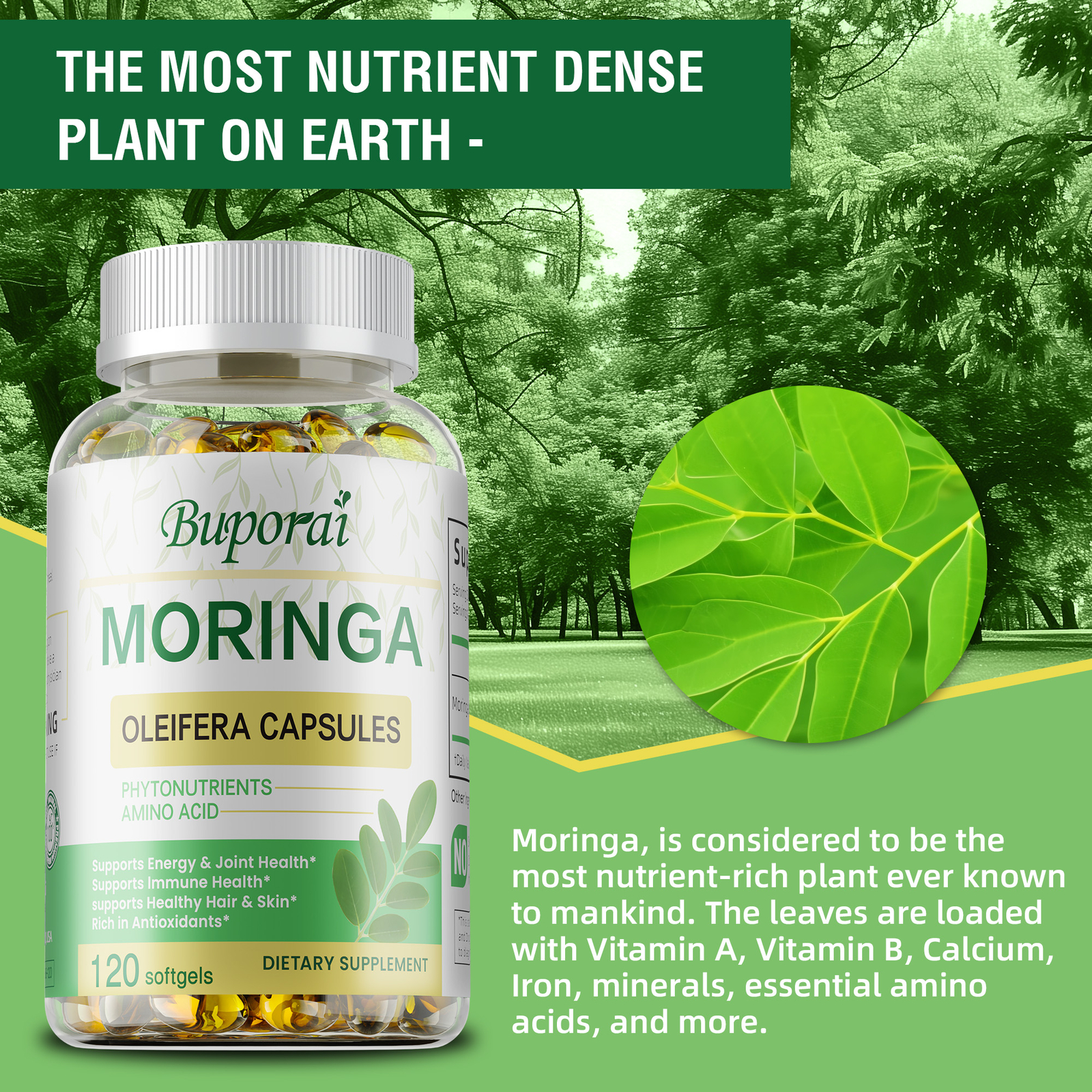 Moringa Leaf Capsules 1000mg – Gut Health, Metabolism and Immune Support