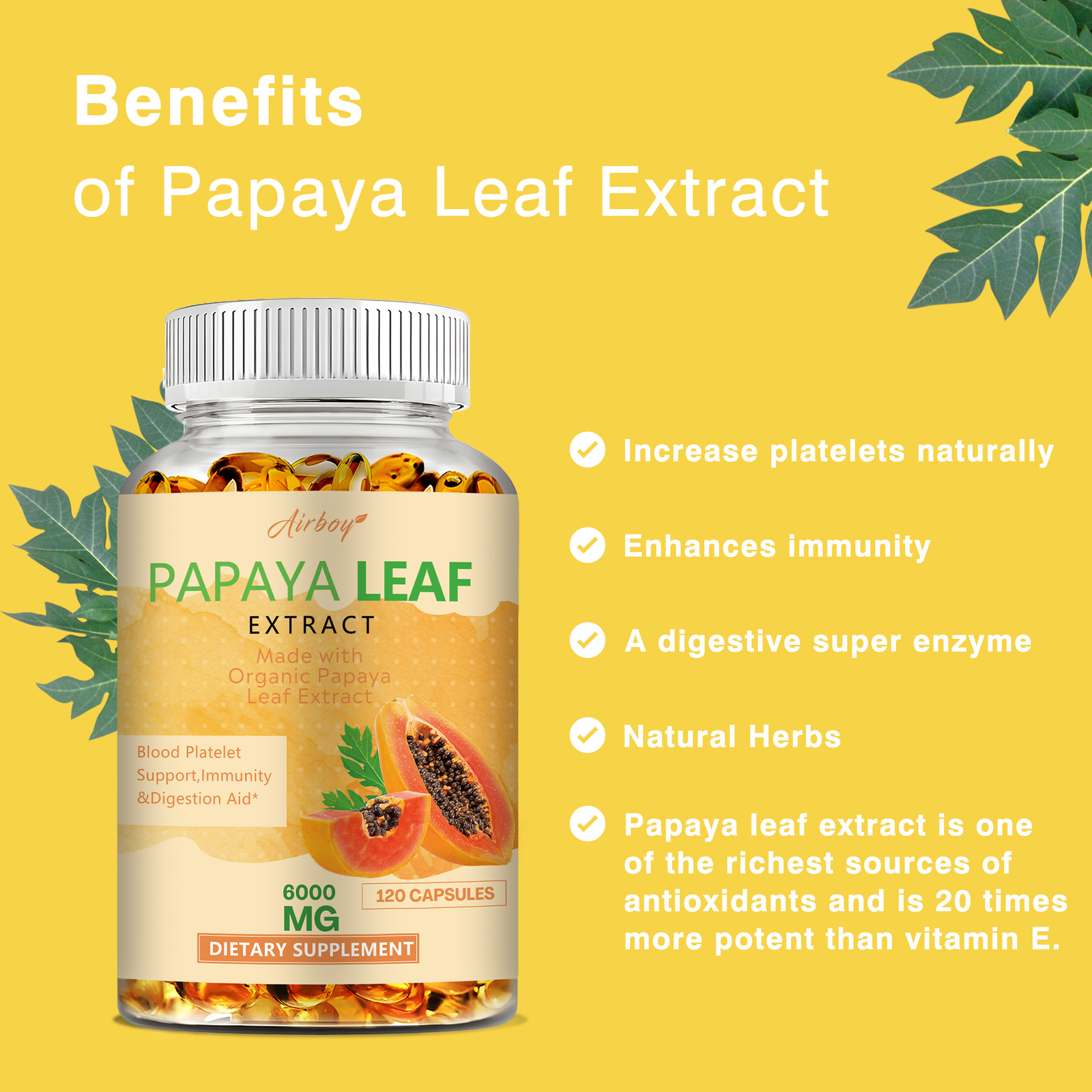 Papaya Leaf Extract 6000 Mg – Platelet and Bone Marrow Health, Immune Support