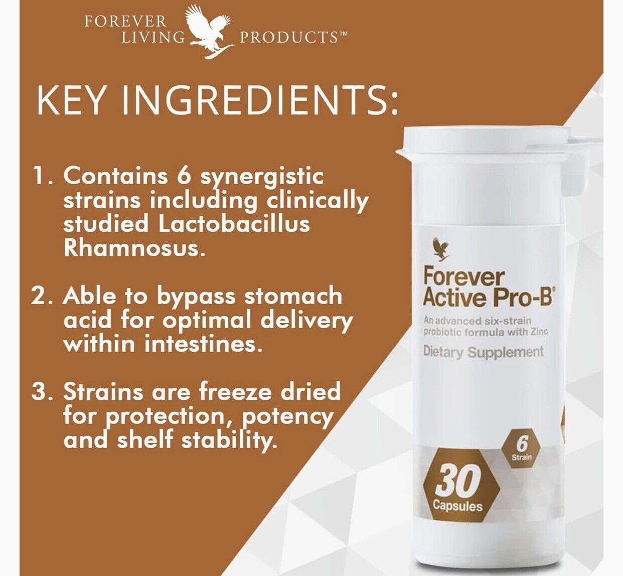 Forever Active Pro-B Probiotics 6-Strains + Zinc Gut Health Kosher 8 Billion CFU