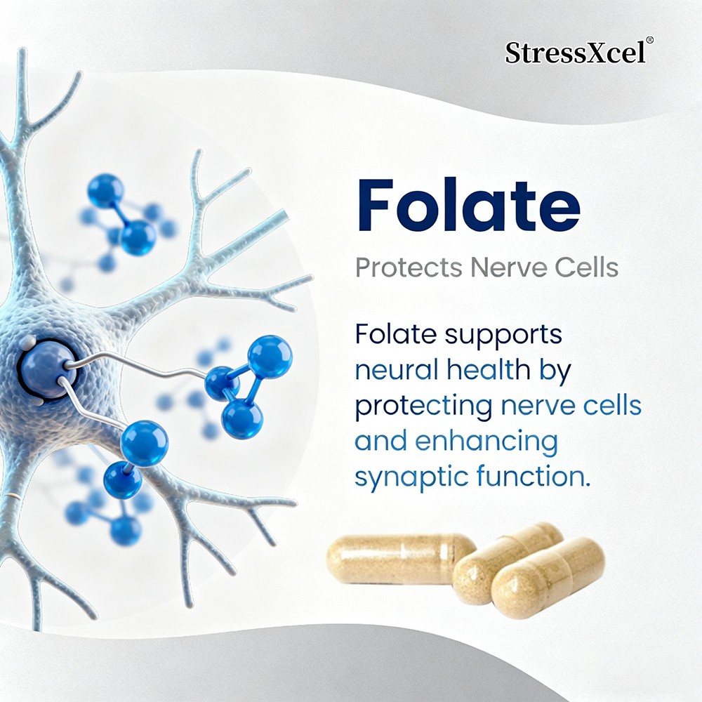 StressXcel L-Methylfolate 5-MTHF 15 mg Active B9 Plus Methyl B12 120 Servings