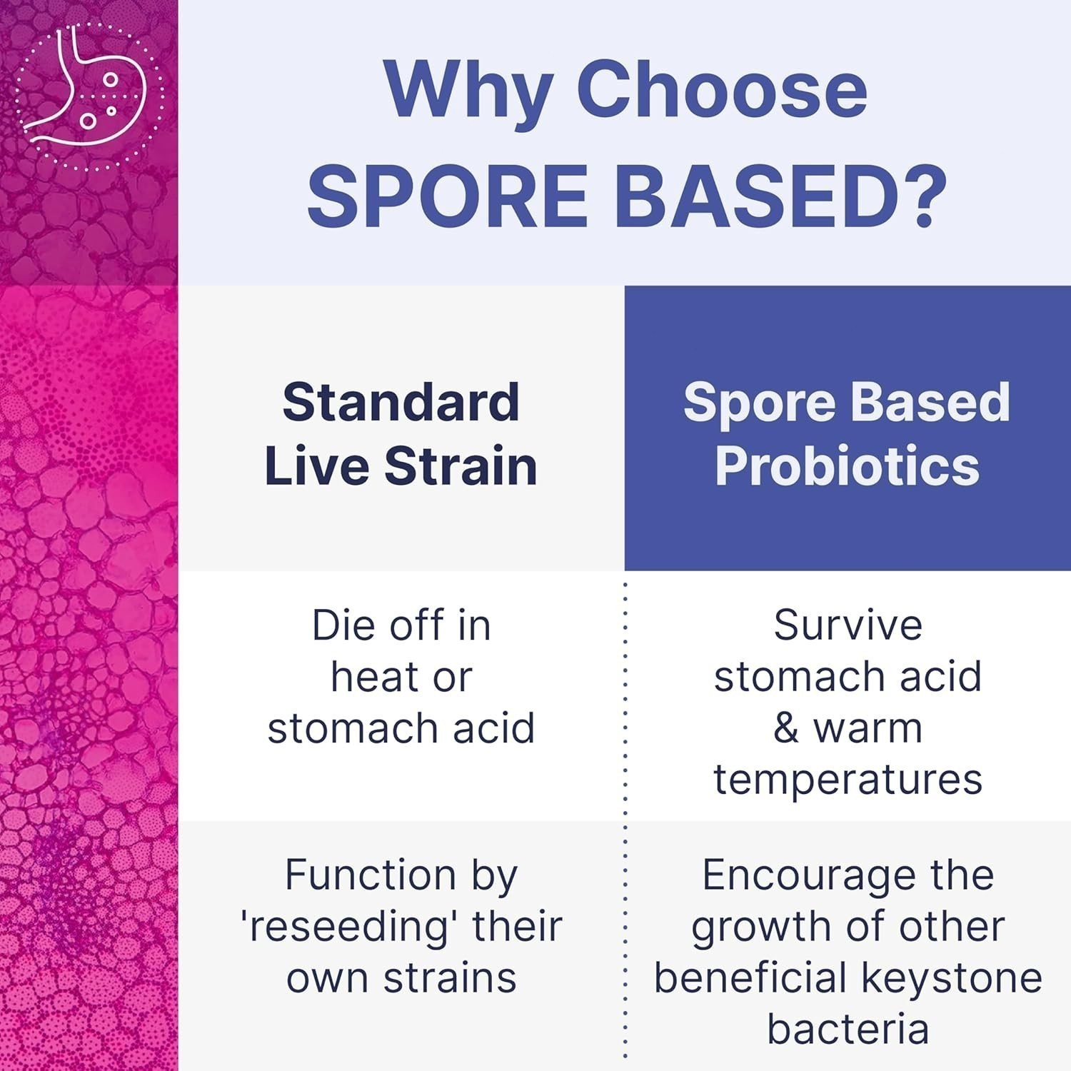 1-3PACK Microbiome Labs MegaSporeBiotic | Spore-Based Probiotic for Gut Health