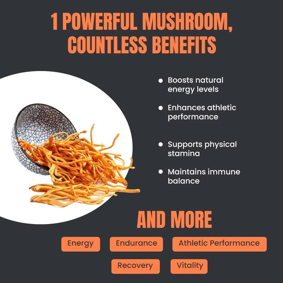 Cordyceps Mushroom – Performance Mushroom Supplement for Testosterone booster A2