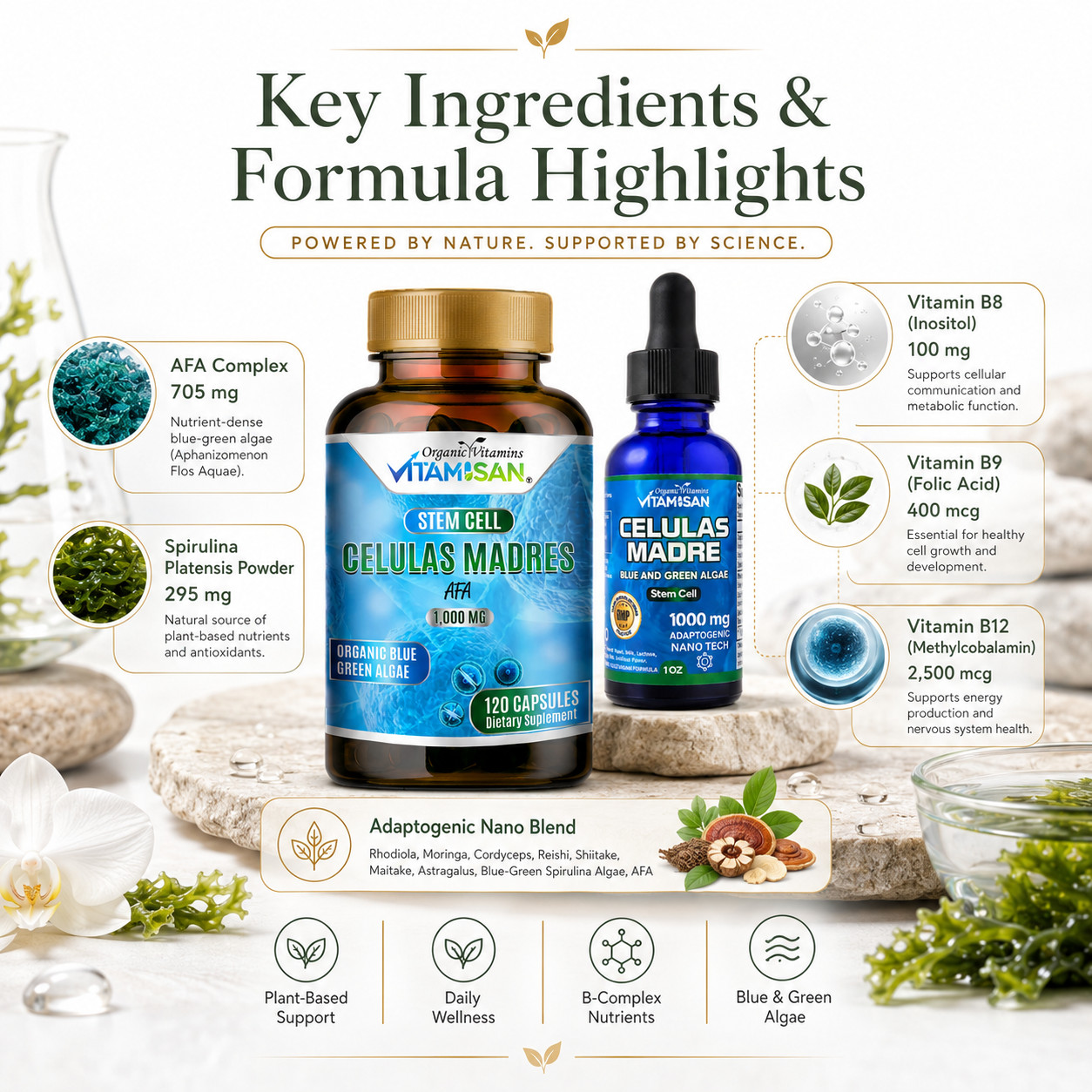 Celulas Madres Stem Cell 2 Pack Blue Green Algae AFA Spirulina Drops Caps Inmune
