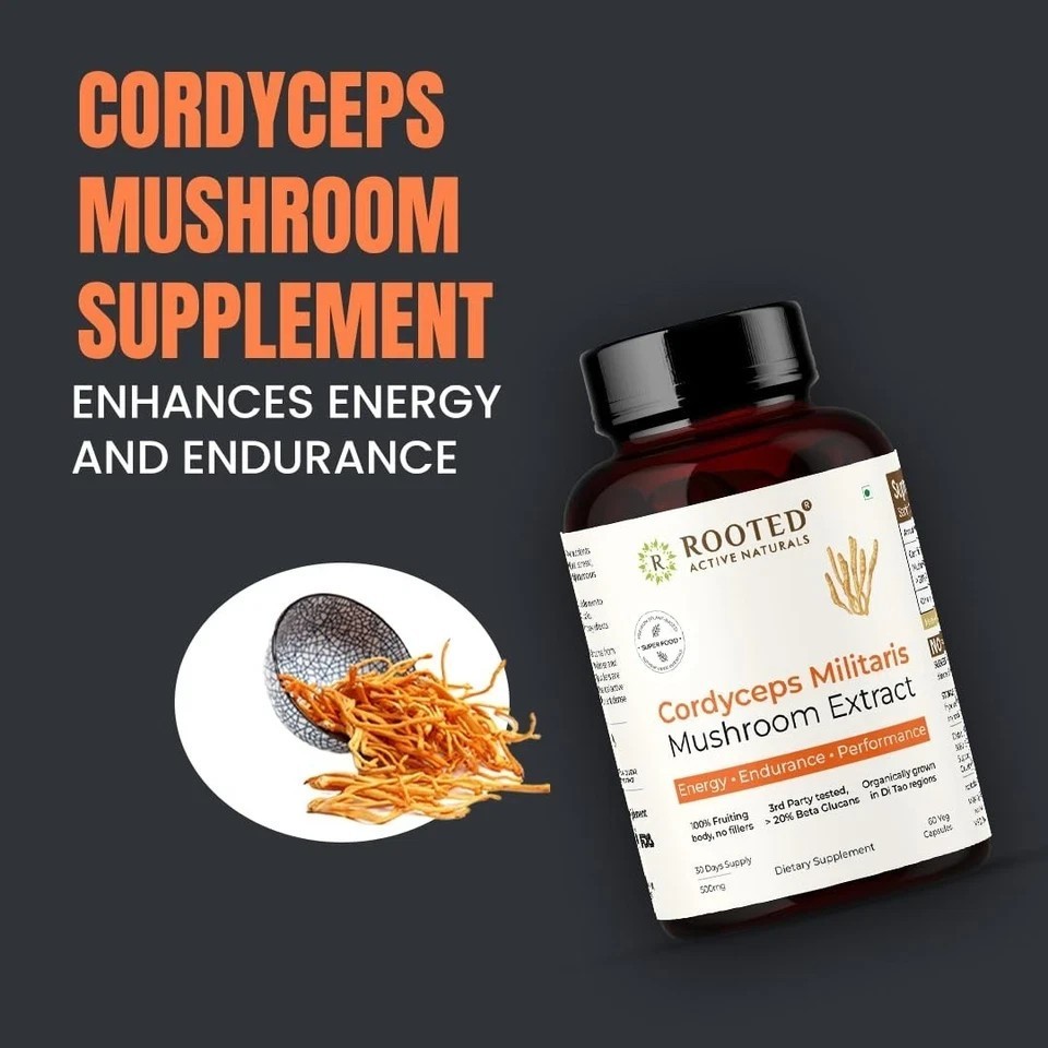 Cordyceps Mushroom – Performance Mushroom Supplement for Testosterone booster A2