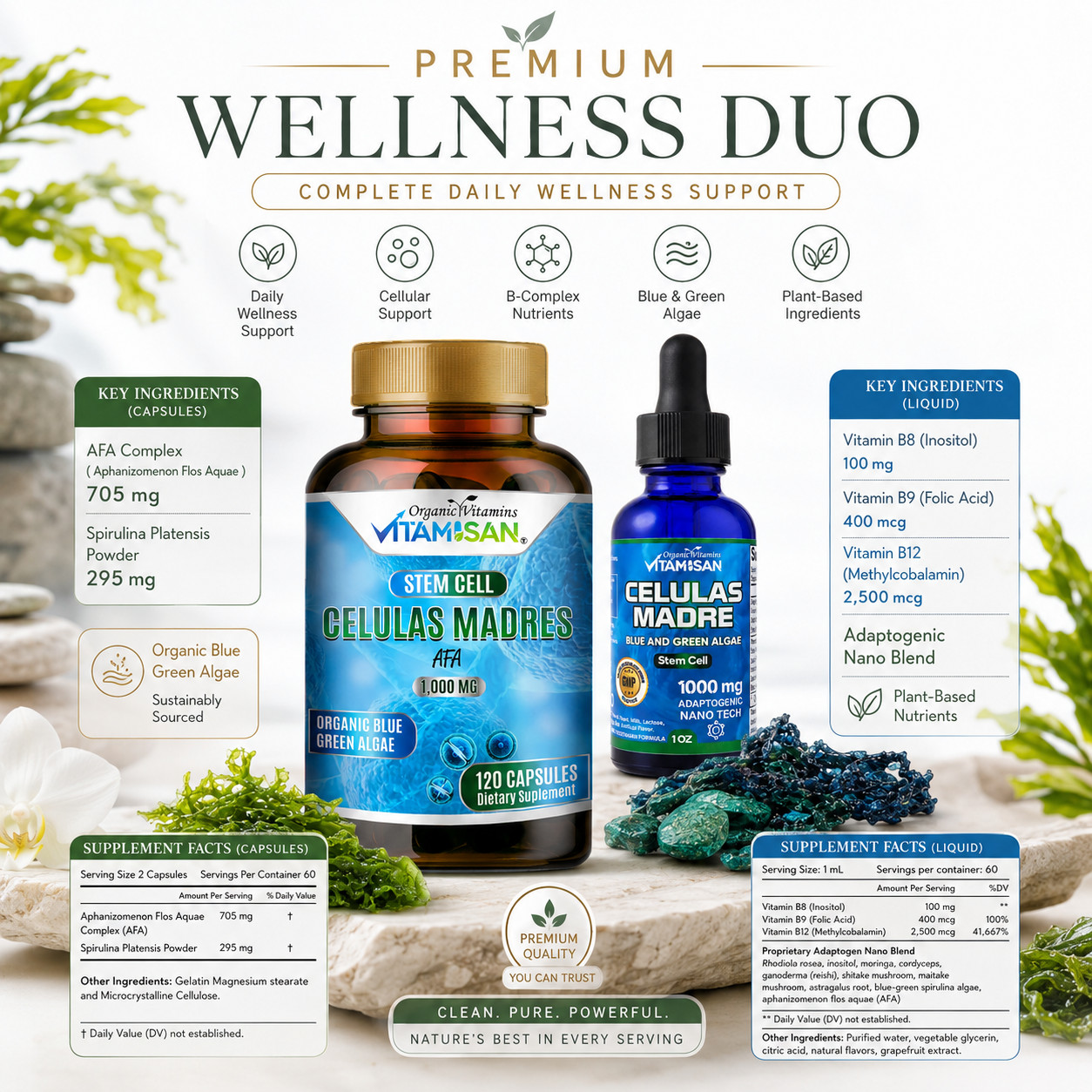 Celulas Madres Stem Cell 2 Pack Blue Green Algae AFA Spirulina Drops Caps Inmune