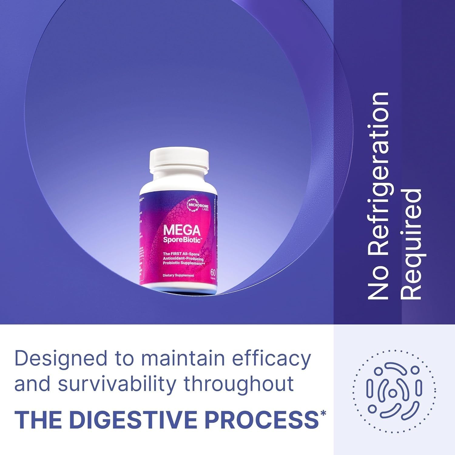 1-3PACK Microbiome Labs MegaSporeBiotic | Spore-Based Probiotic for Gut Health