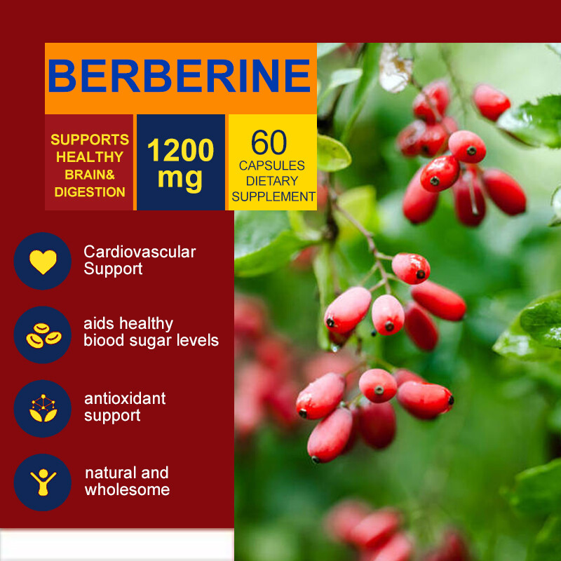 Berberine HCL 1200mg Cholesterol Blood Sugar Health General Wellness 10/60/120PC