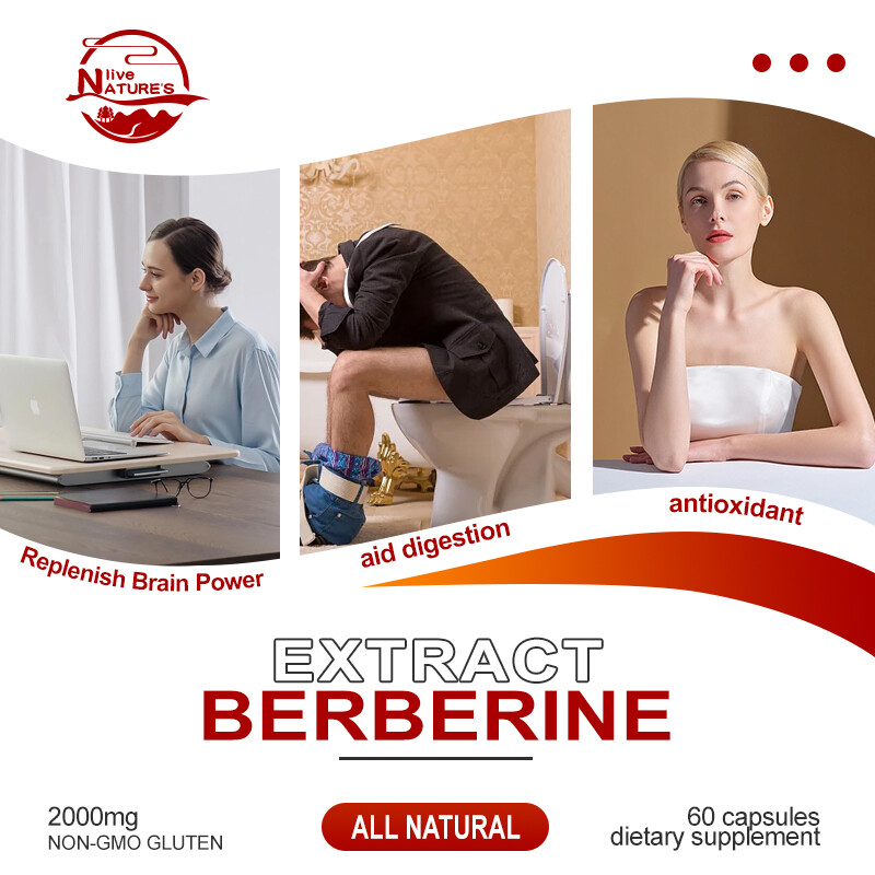Berberine HCL 1200mg Cholesterol Blood Sugar Health General Wellness 10/60/120PC