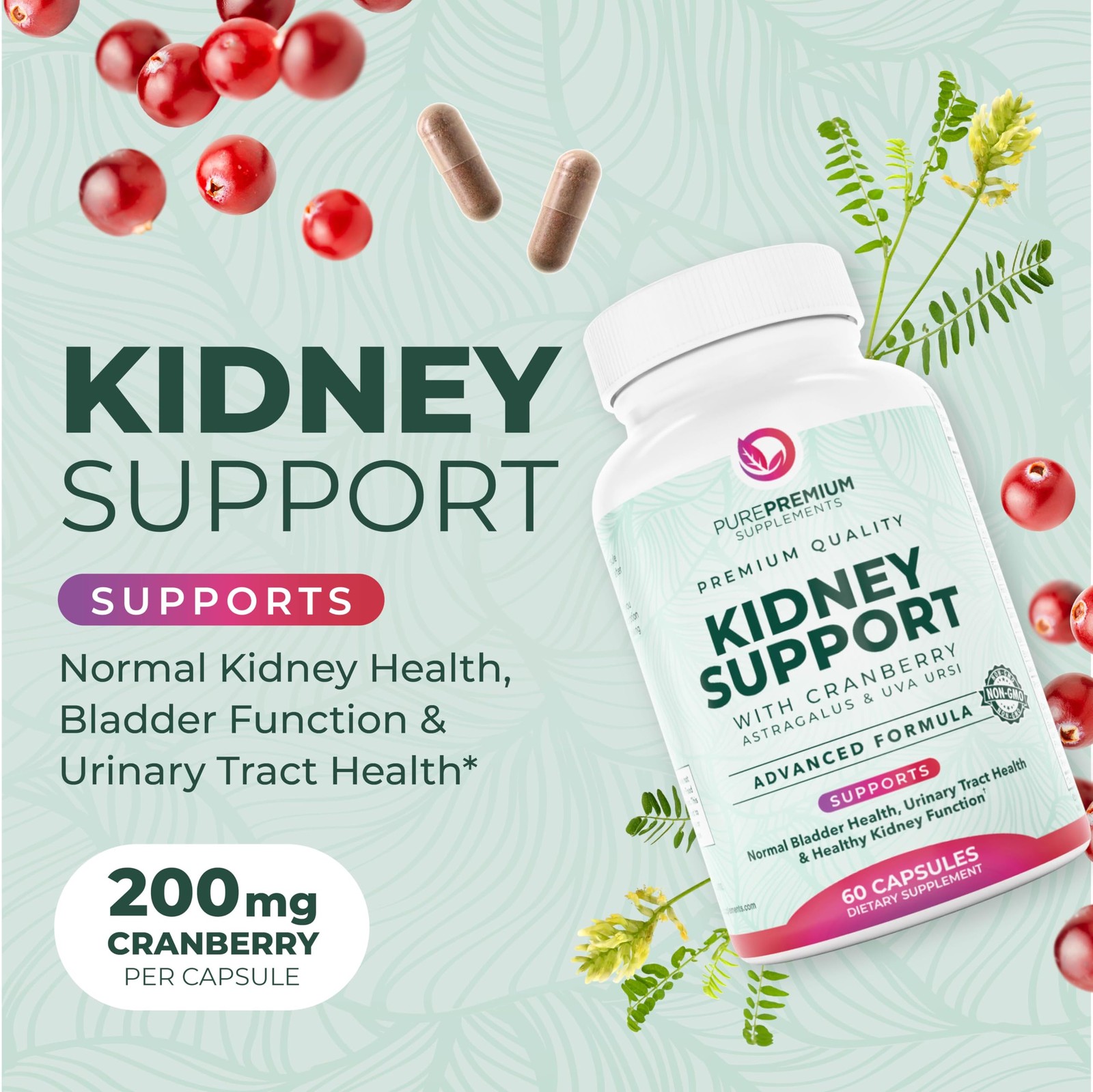 PurePremium Kidney Support Supplement – Cleanse 60 Count (Pack of 1)