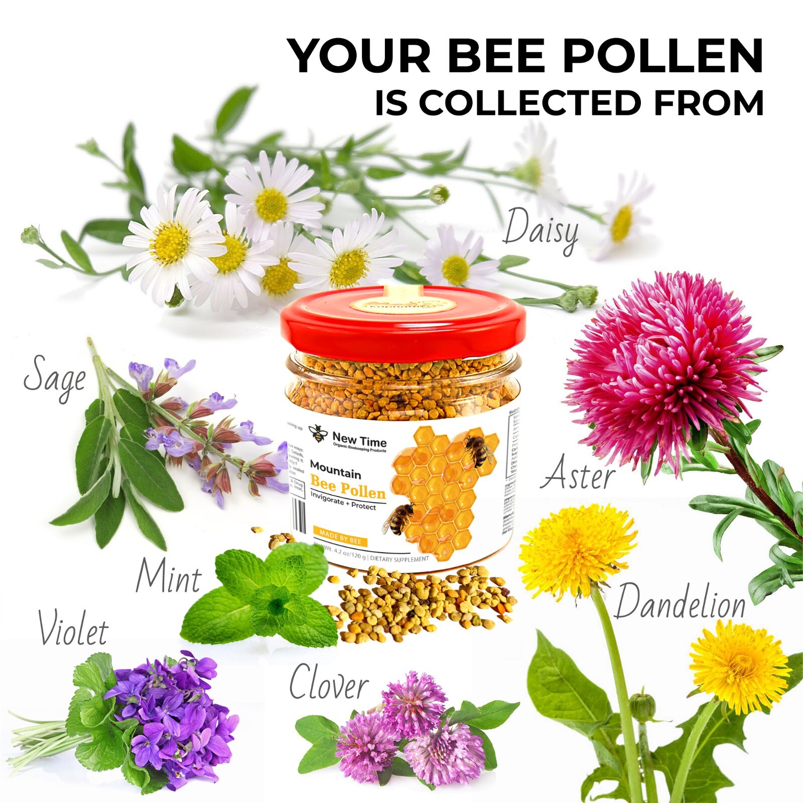 Bee Pollen – Organic Energy Superfood in Granules 4.2 oz / 120 g. – 100% Natural