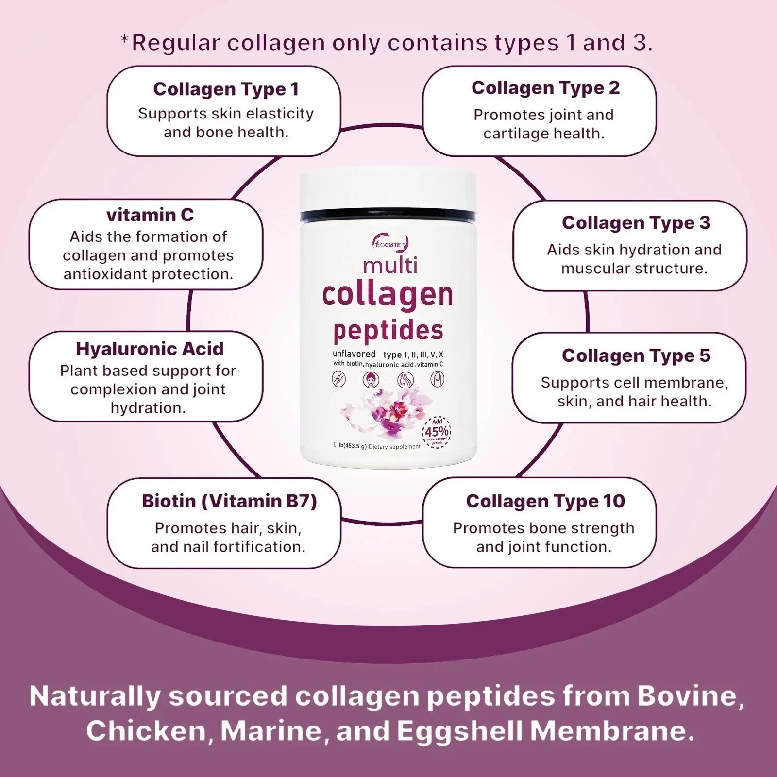 1LB Multi Collagen Peptides Powder–Hydrolyzed Protein with Type I, II, III, V, X