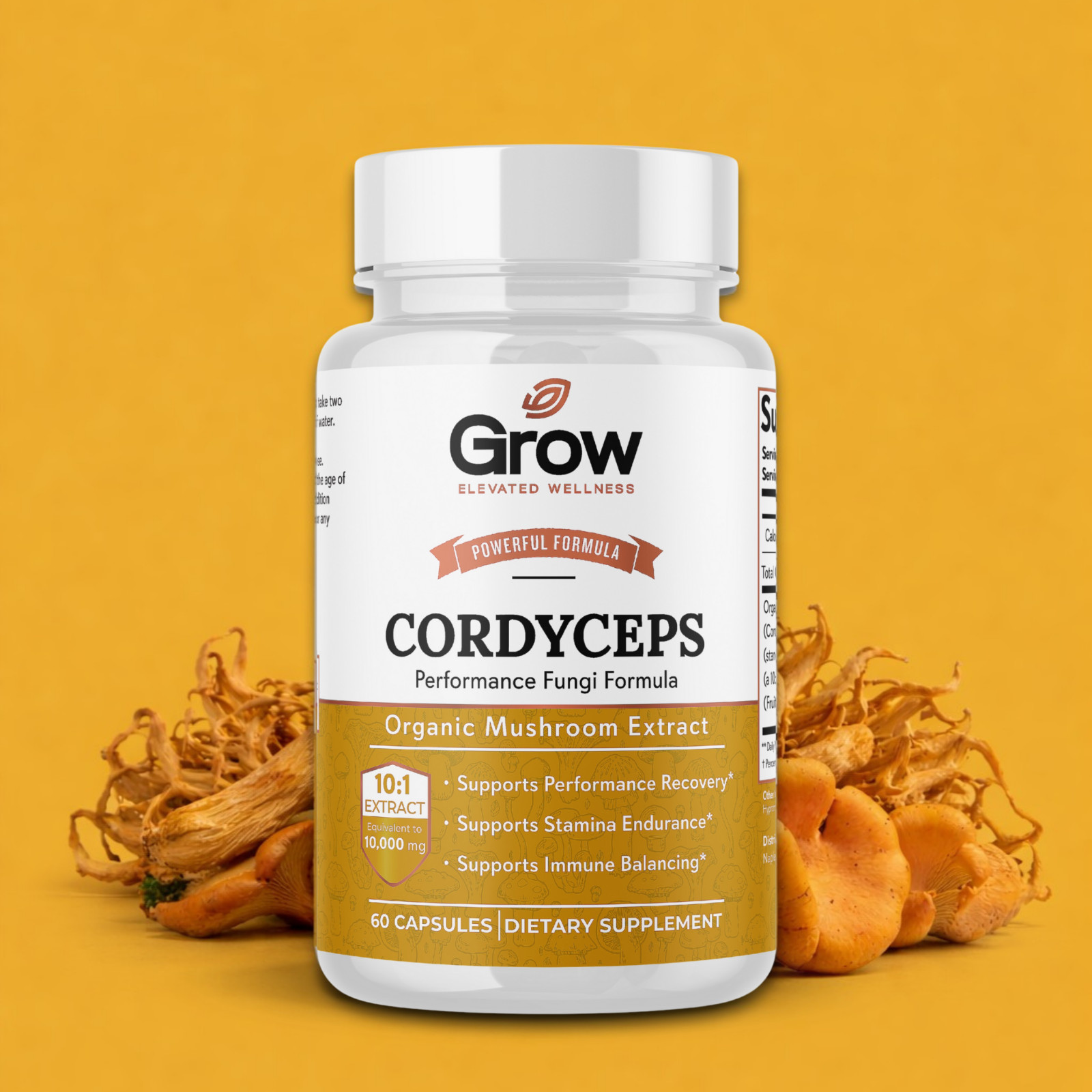 Cordyceps Mushroom Extract Capsules – 10:1 Concentrated Formula – 60 Capsules