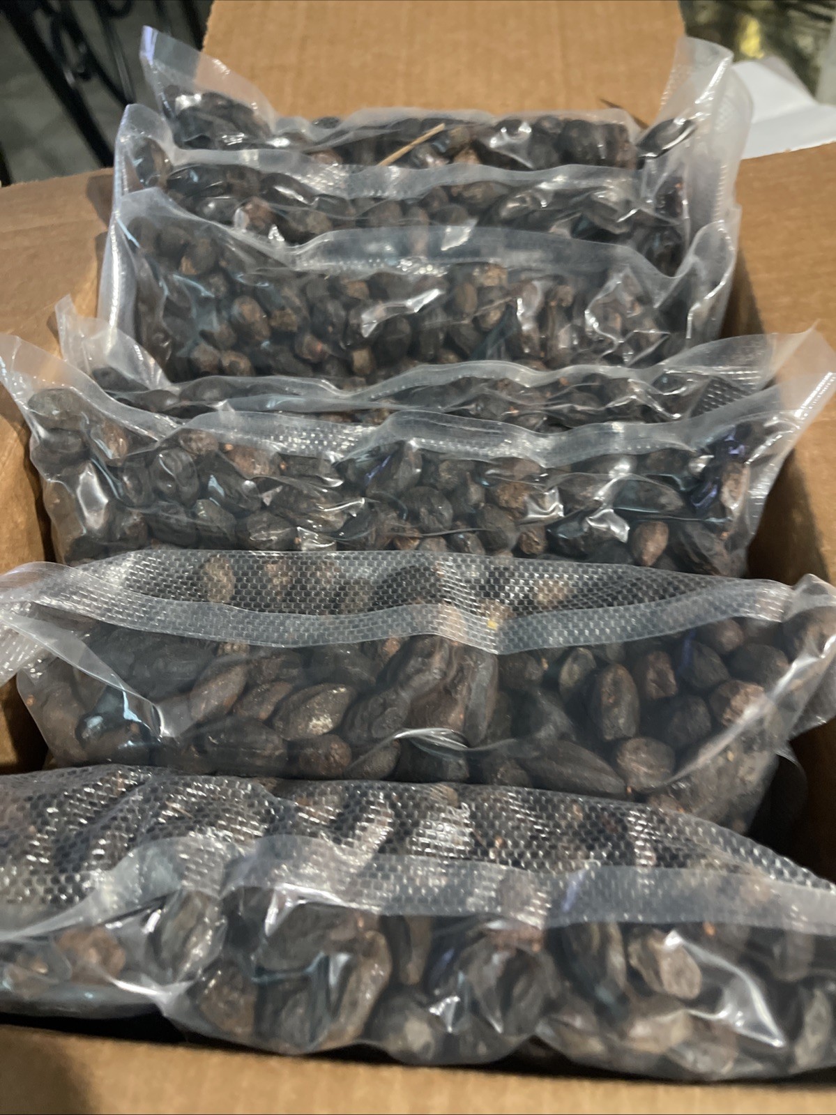 10 Lbs Dried Saw Palmetto Berries