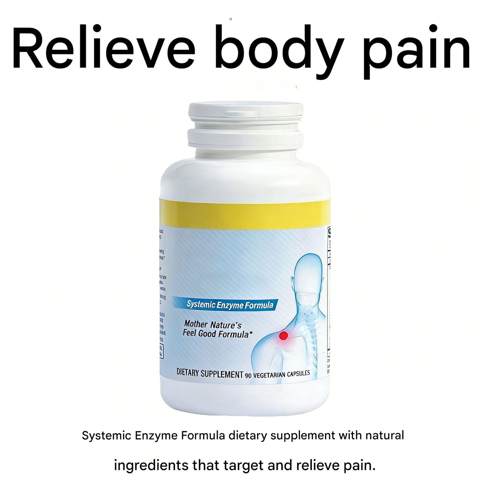 Premium LivingWell Nutraceuticals Heal-n-Soothe Systemic Enzyme Formula 90 Capsu