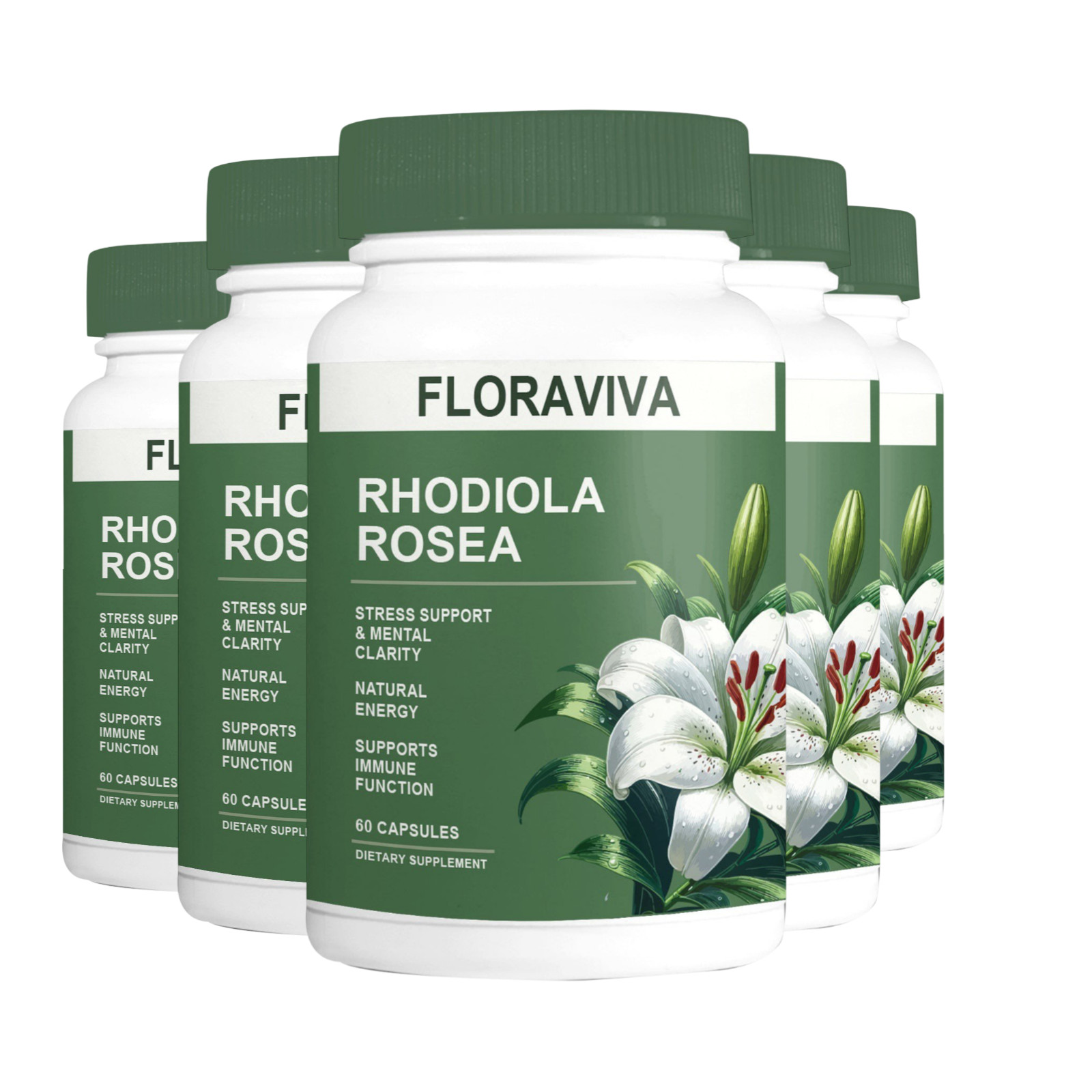 5-Pack Rhodiola Rosea Capsules – Floraviva for Energy, Focus, Mood -300 Capsules