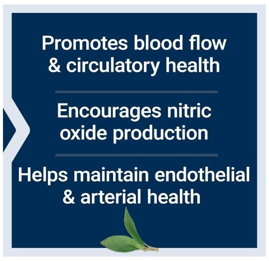 2PACK Life Extension NitroVasc Boost Berry Nitric Oxide Production Vascular Heal