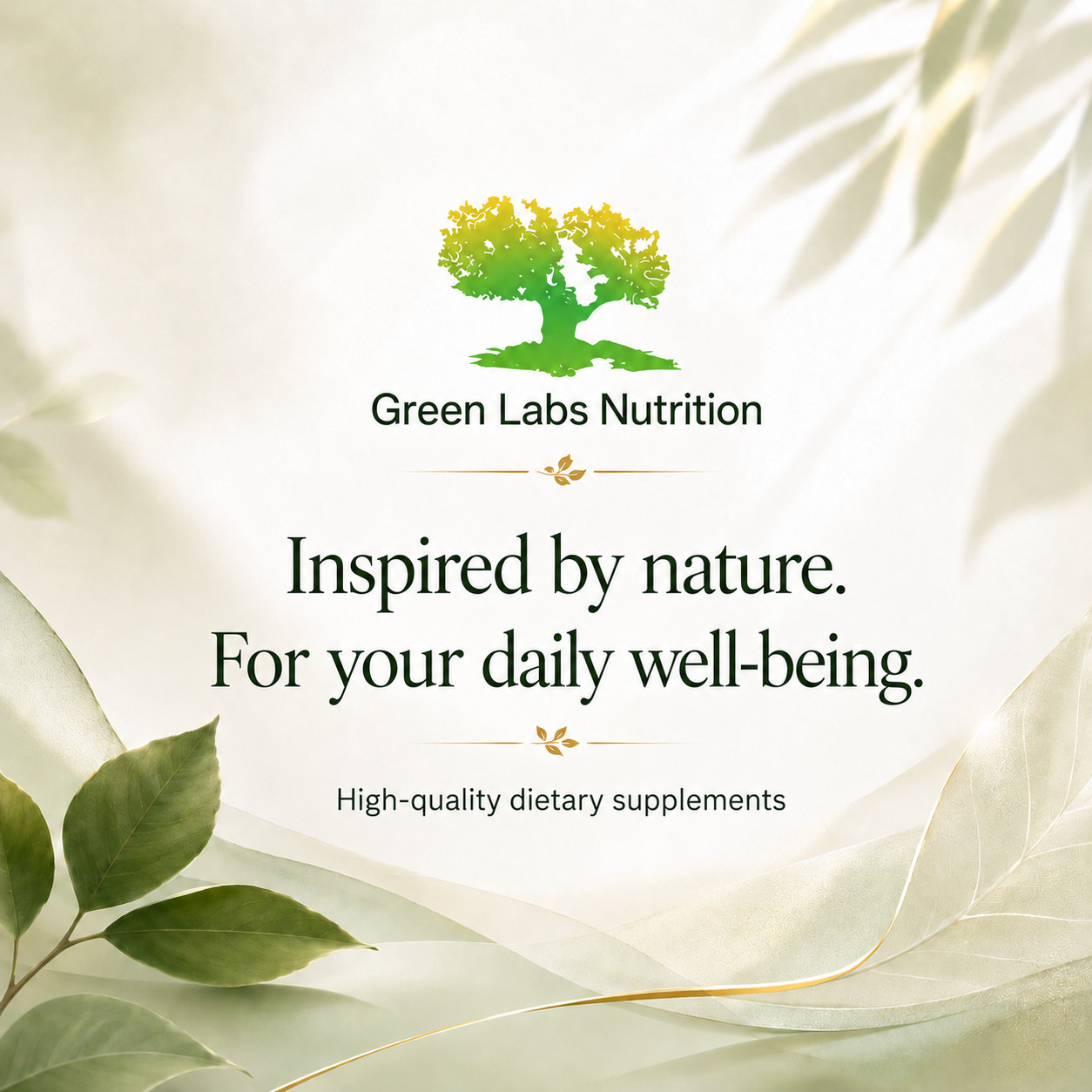 Omega 369 softgels enriched with Alpha Lipoic Acid and natural Vitamin E