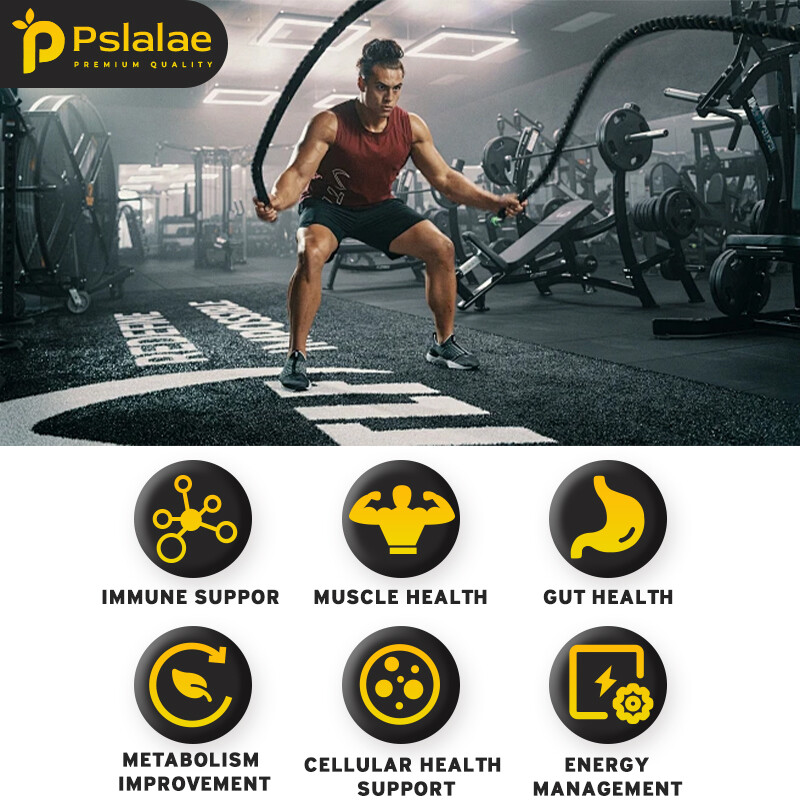 Opti-Men – Multivitamins & Minerals -Cellular Energy & Metabolism, Muscle Health