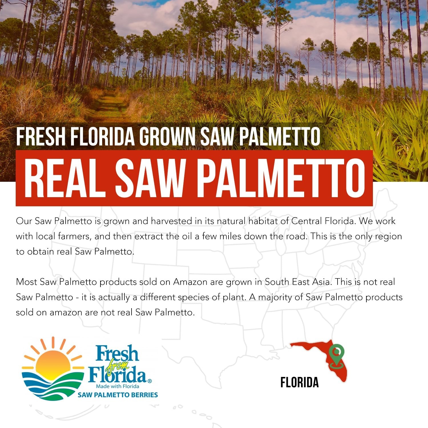 Saw Palmetto Extract 10X Potency + Pumpkin Seed Oil – Prostate Health & Hair Gro
